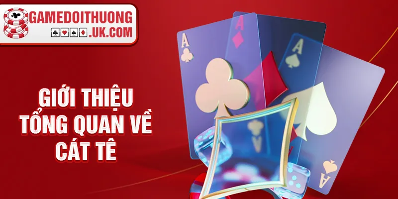 Giới thiệu tổng quan về cát tê 