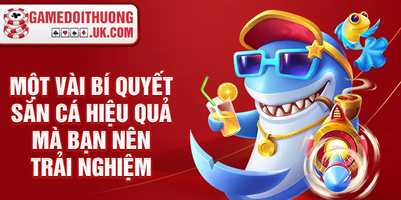 Một vài bí quyết săn cá hiệu quả mà bạn nên trải nghiệm