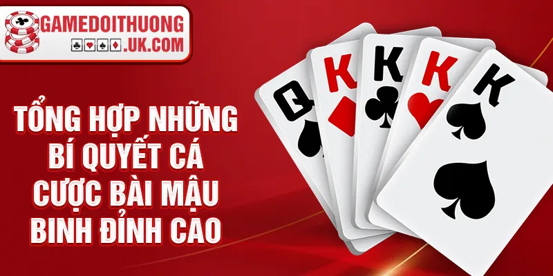 Tổng hợp những bí quyết cá cược bài mậu binh đỉnh cao