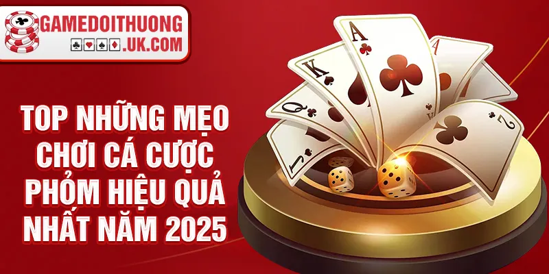 TOP những mẹo chơi cá cược phỏm hiệu quả nhất năm 2025